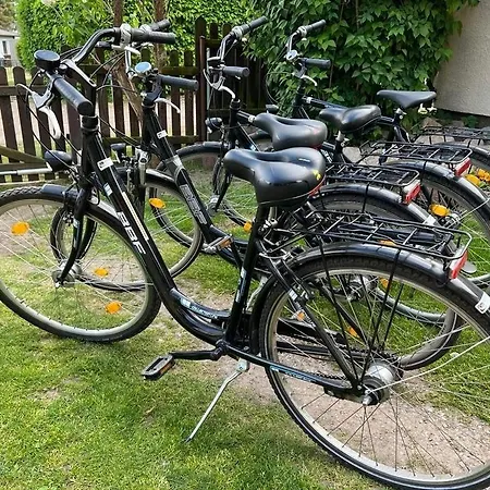 Blockbohlenhaus Plau Am Ferienhaus