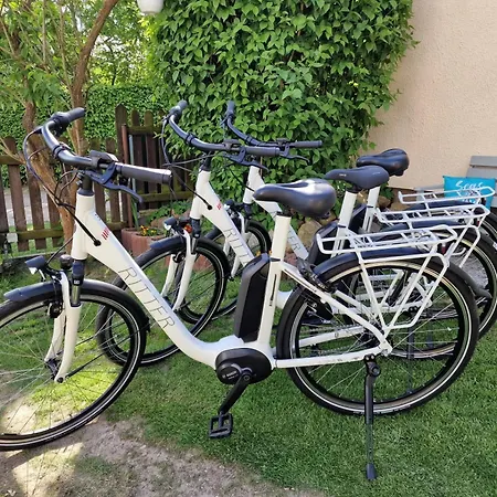 Blockbohlenhaus Plau Am Ferienhaus Plau am See